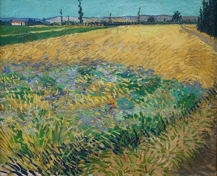 unknow artist Vincent van Gogh Wheatfield France oil painting art